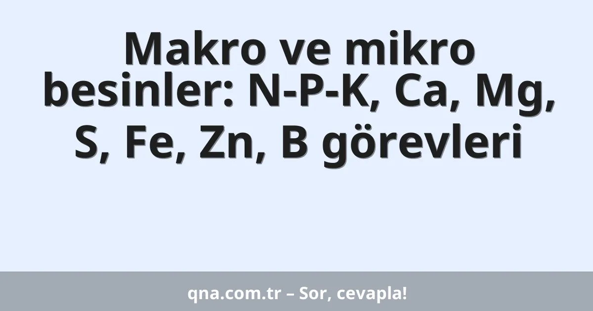 Makro ve mikro besinler: N-P-K, Ca, Mg, S, Fe, Zn, B görevleri