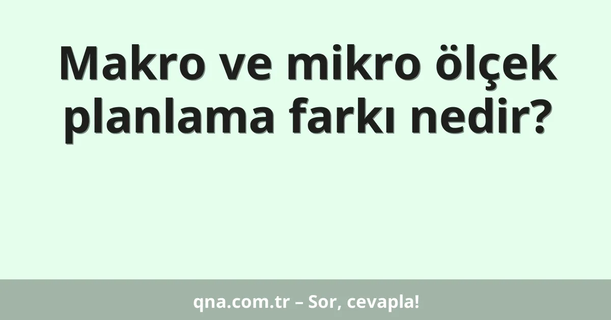 Makro ve mikro ölçek planlama farkı nedir?