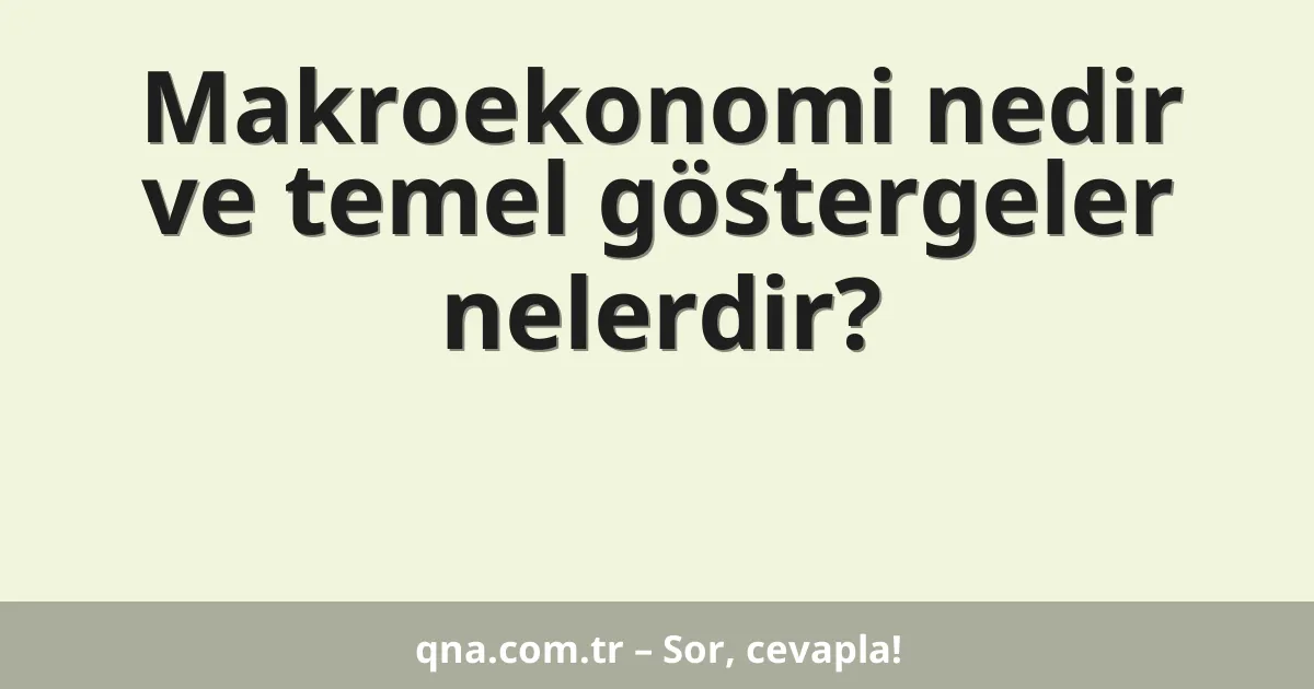 Makroekonomi nedir ve temel göstergeler nelerdir?