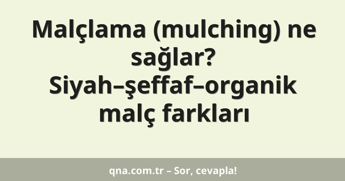 Malçlama (mulching) ne sağlar? Siyah–şeffaf–organik malç farkları