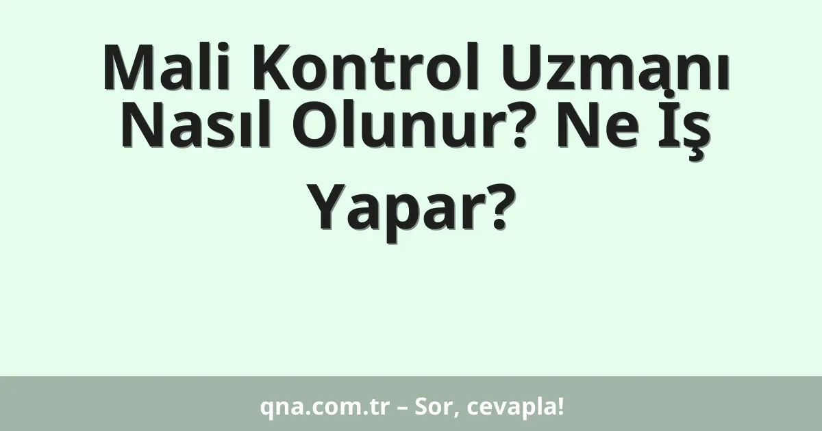 Mali Kontrol Uzmanı Nasıl Olunur? Ne İş Yapar?