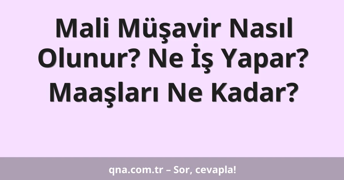 Mali Müşavir Nasıl Olunur? Ne İş Yapar? Maaşları Ne Kadar?