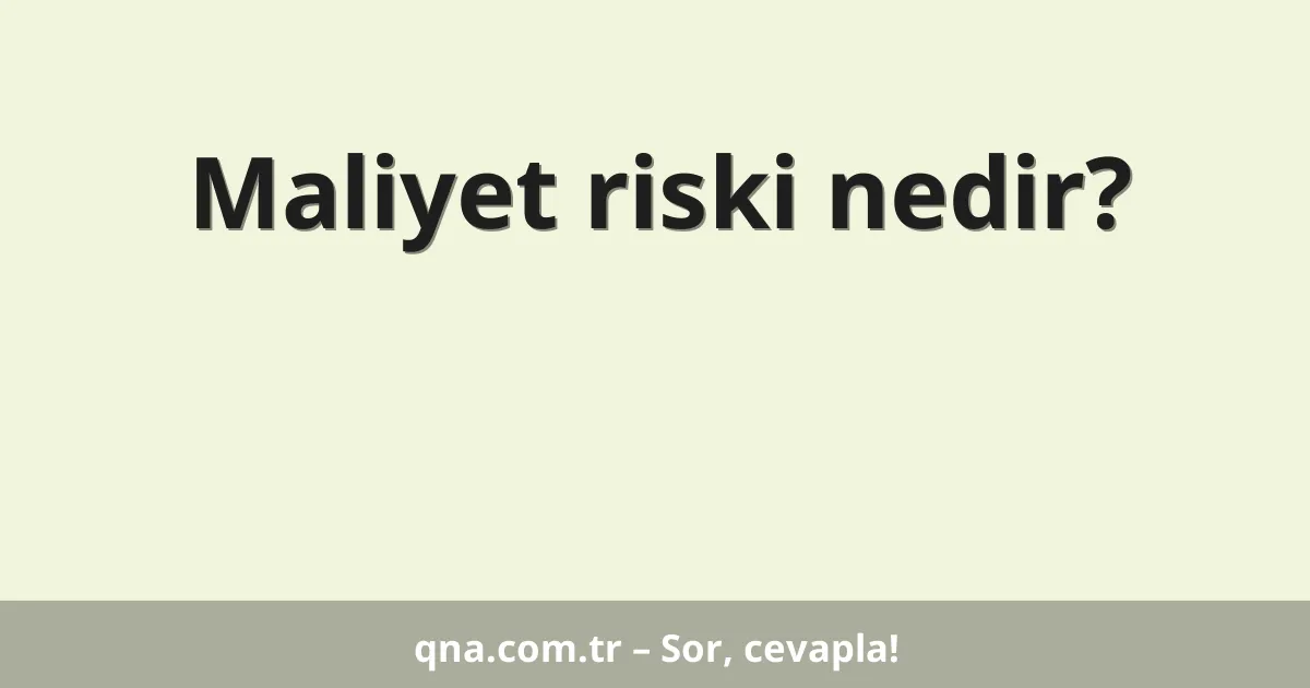Maliyet riski nedir?