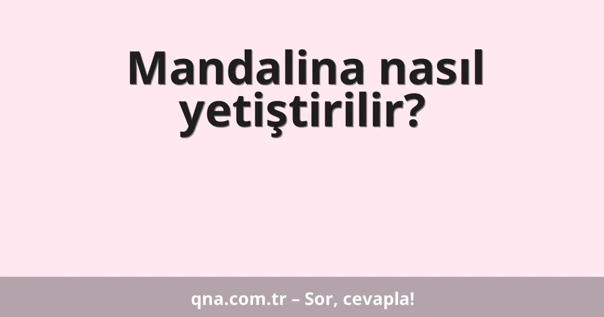 Mandalina nasıl yetiştirilir?