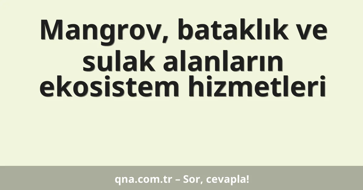Mangrov, bataklık ve sulak alanların ekosistem hizmetleri
