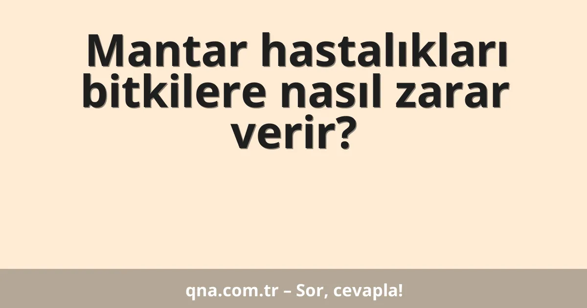 Mantar hastalıkları bitkilere nasıl zarar verir?