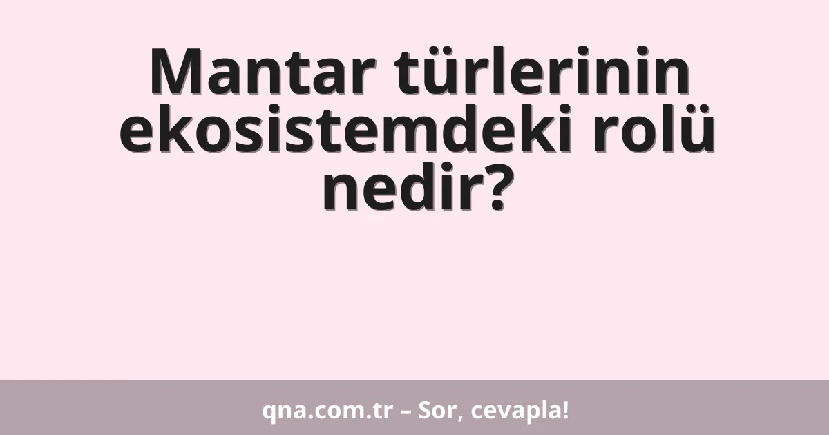 Mantar türlerinin ekosistemdeki rolü nedir?