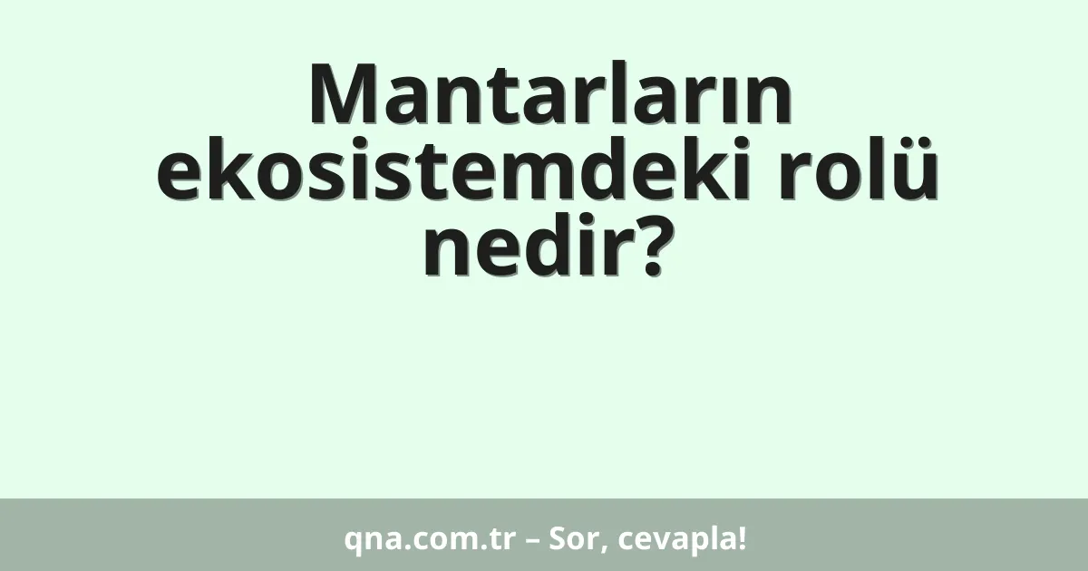 Mantarların ekosistemdeki rolü nedir?