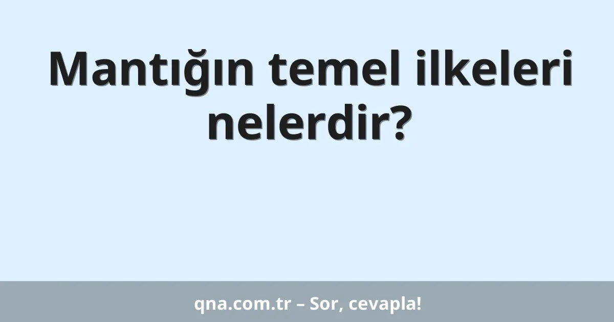 Mantığın temel ilkeleri nelerdir?
