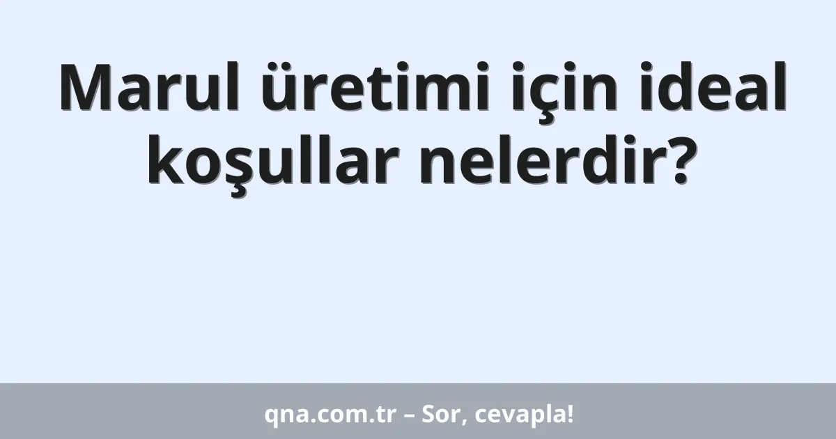 Marul üretimi için ideal koşullar nelerdir?
