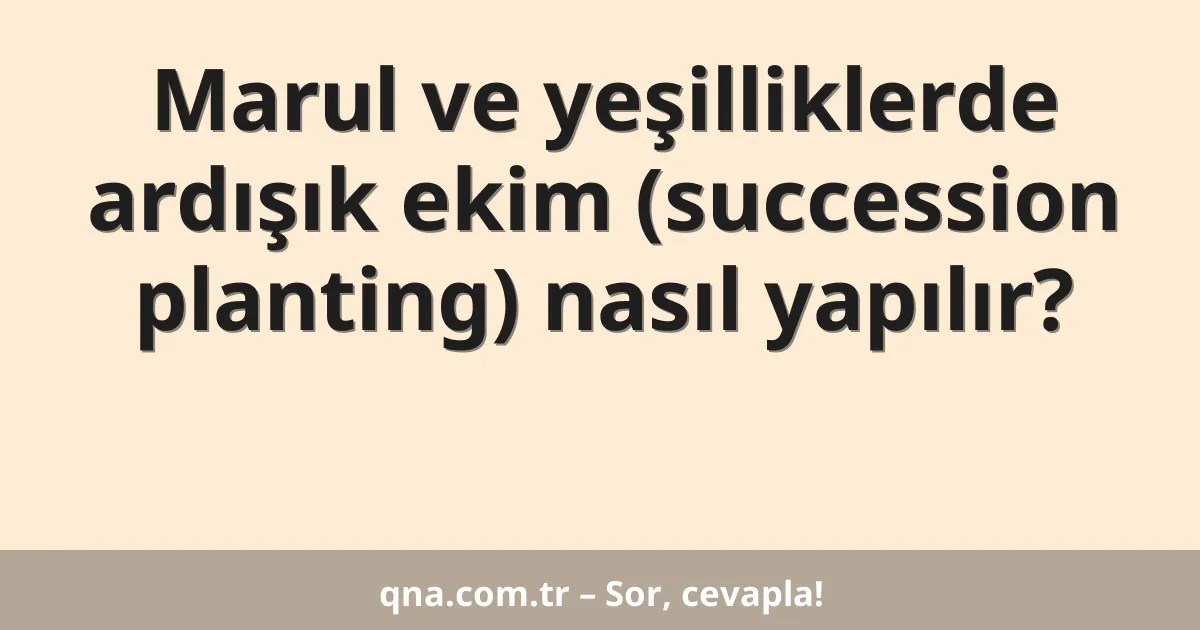Marul ve yeşilliklerde ardışık ekim (succession planting) nasıl yapılır?