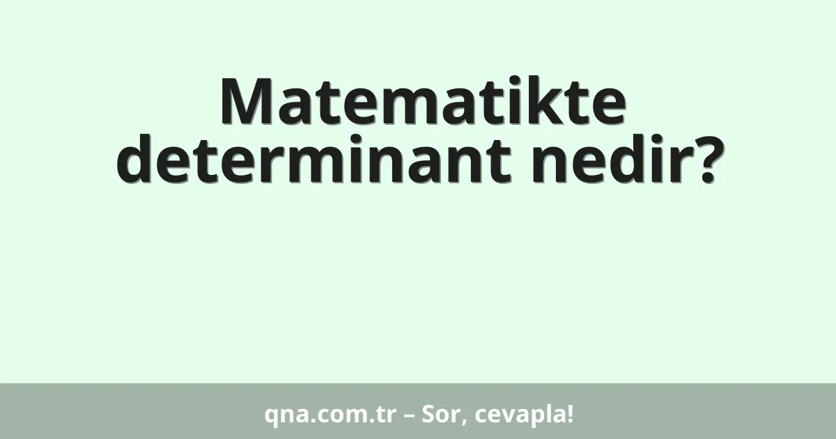 Matematikte determinant nedir?