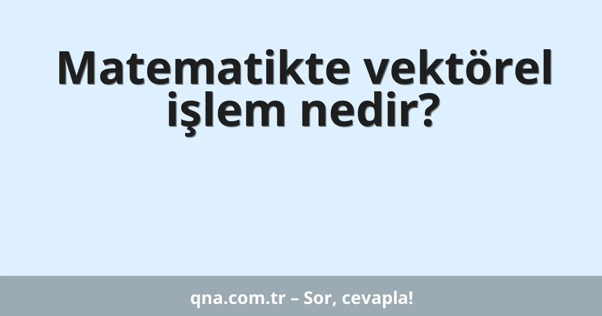 Matematikte vektörel işlem nedir?