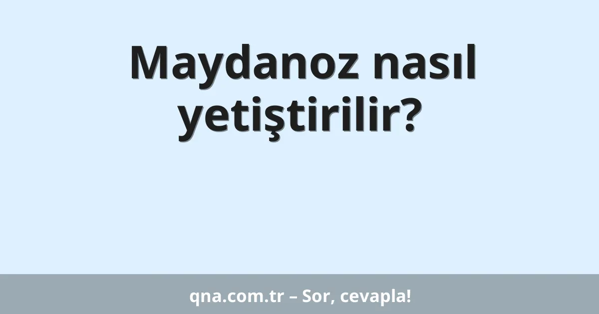 Maydanoz nasıl yetiştirilir?