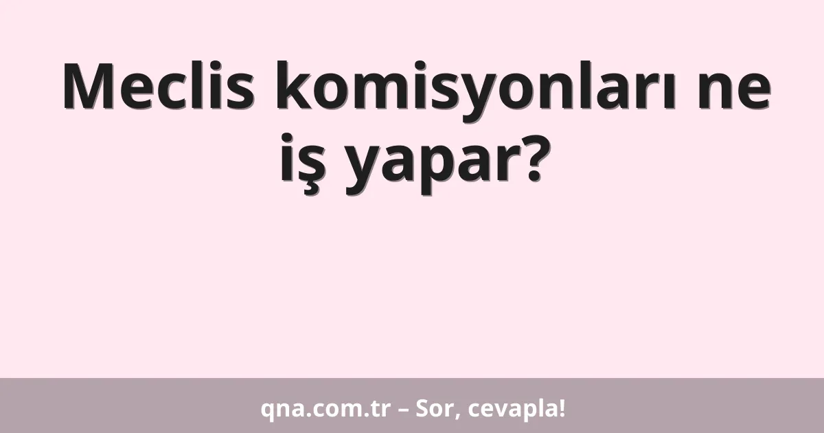 Meclis komisyonları ne iş yapar?