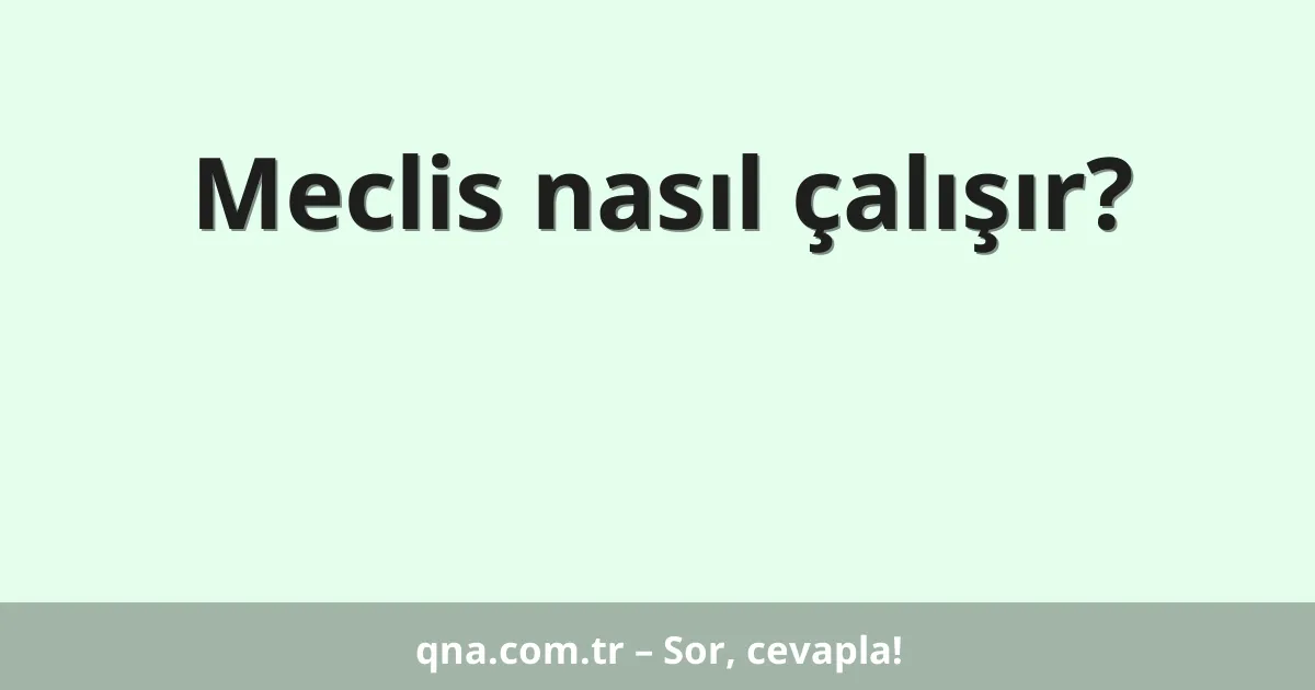Meclis nasıl çalışır?