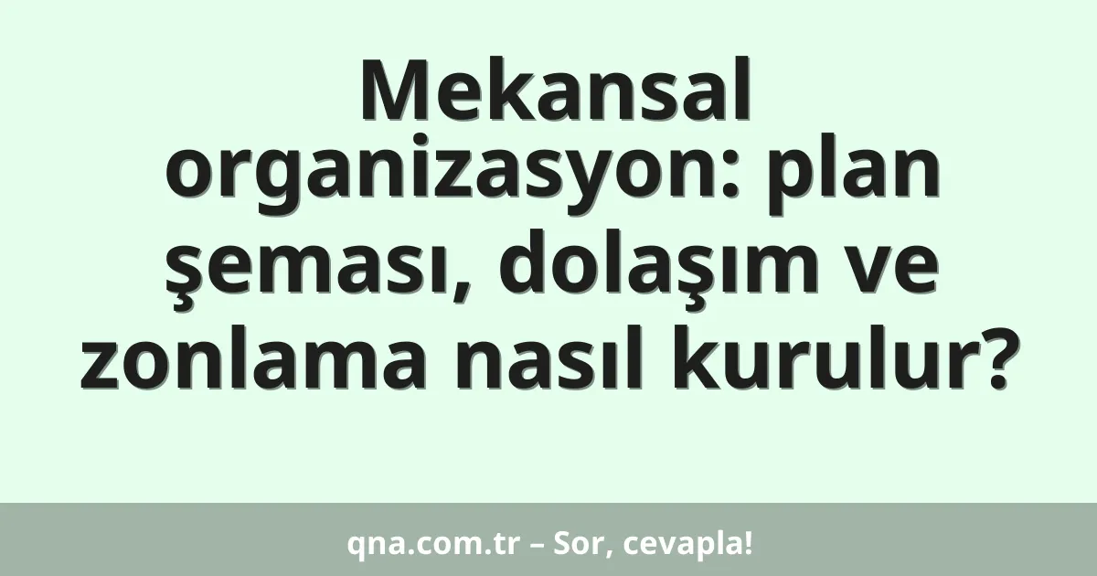Mekansal organizasyon: plan şeması, dolaşım ve zonlama nasıl kurulur?
