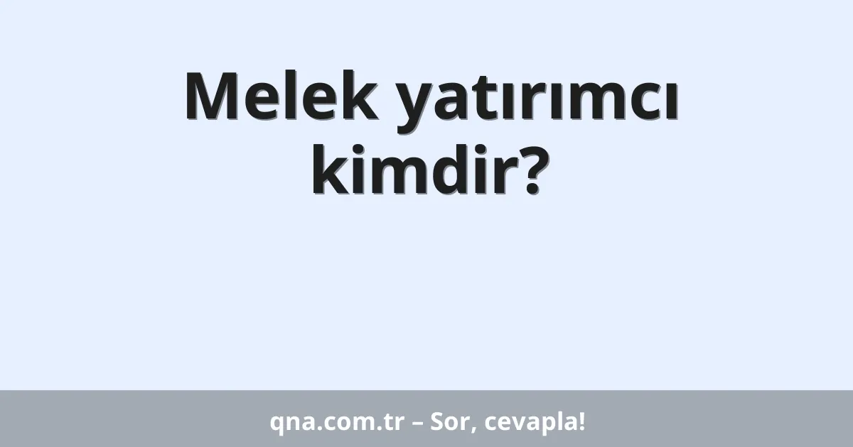 Melek yatırımcı kimdir?