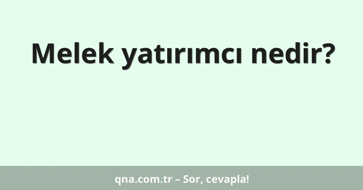 Melek yatırımcı nedir?