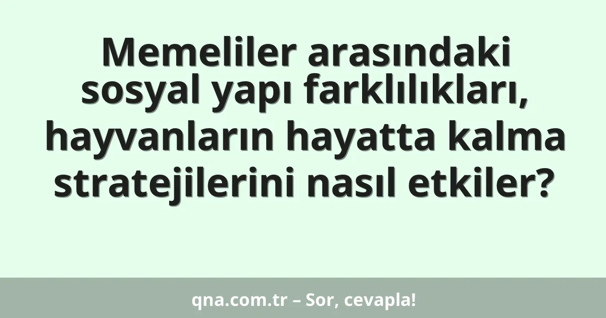 Memeliler arasındaki sosyal yapı farklılıkları, hayvanların hayatta kalma stratejilerini nasıl etkiler?