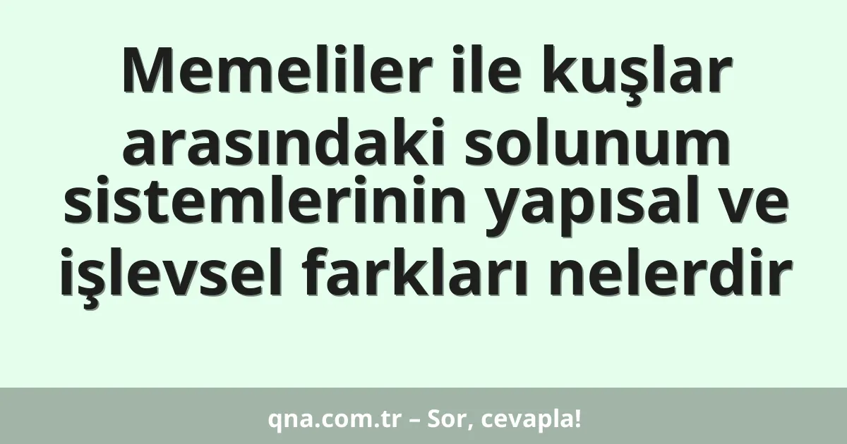 Memeliler ile kuşlar arasındaki solunum sistemlerinin yapısal ve işlevsel farkları nelerdir