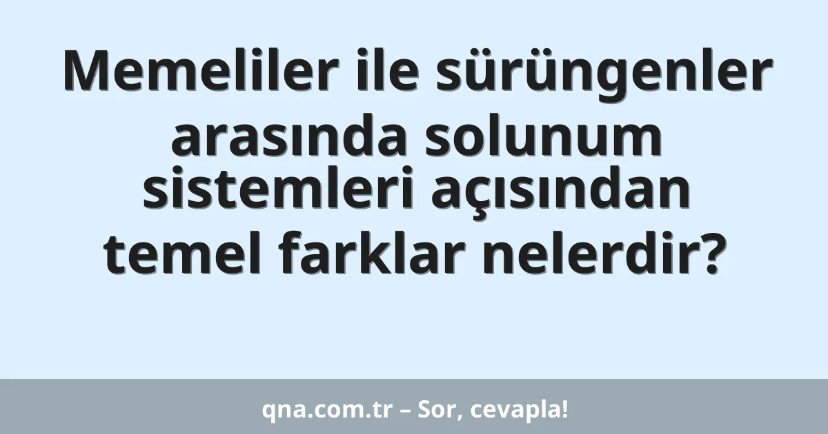 Memeliler ile sürüngenler arasında solunum sistemleri açısından temel farklar nelerdir?