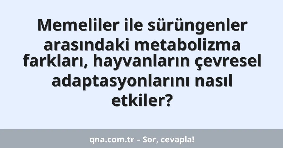 Memeliler ile sürüngenler arasındaki metabolizma farkları, hayvanların çevresel adaptasyonlarını nasıl etkiler?