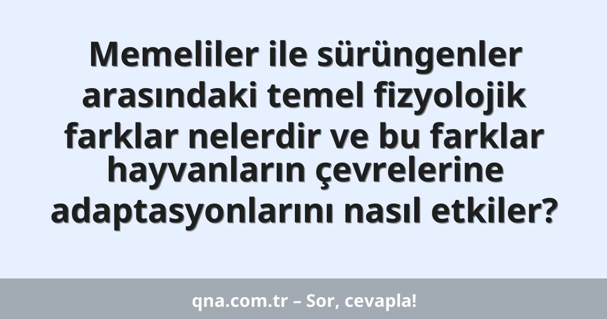 Memeliler ile sürüngenler arasındaki temel fizyolojik farklar nelerdir ve bu farklar hayvanların çevrelerine adaptasyonlarını nasıl etkiler?