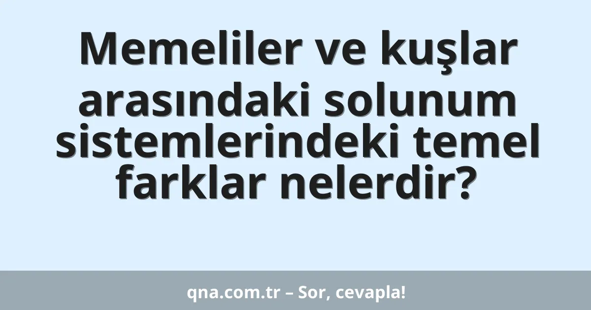 Memeliler ve kuşlar arasındaki solunum sistemlerindeki temel farklar nelerdir?