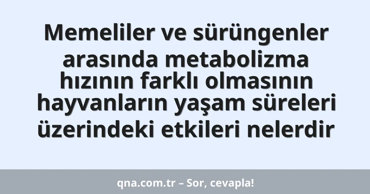 Memeliler ve sürüngenler arasında metabolizma hızının farklı olmasının hayvanların yaşam süreleri üzerindeki etkileri nelerdir