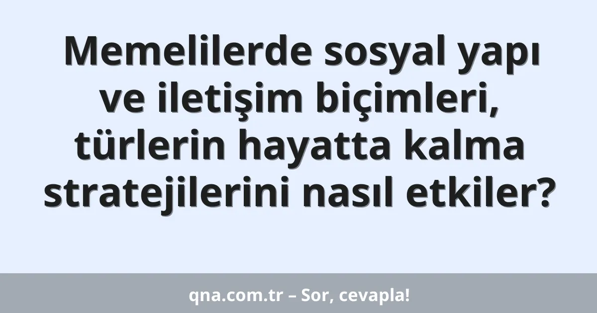 Memelilerde sosyal yapı ve iletişim biçimleri, türlerin hayatta kalma stratejilerini nasıl etkiler?