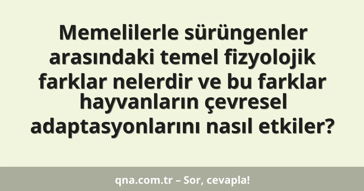 Memelilerle sürüngenler arasındaki temel fizyolojik farklar nelerdir ve bu farklar hayvanların çevresel adaptasyonlarını nasıl etkiler?