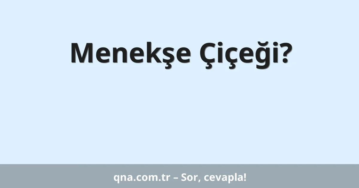 Menekşe Çiçeği?