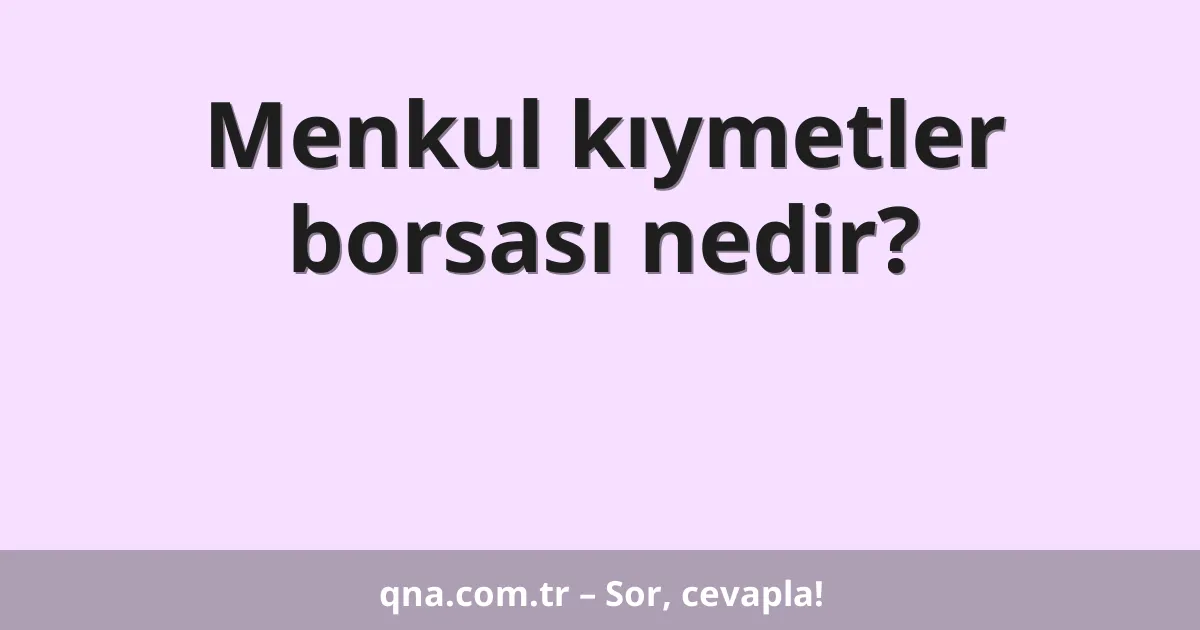 Menkul kıymetler borsası nedir?