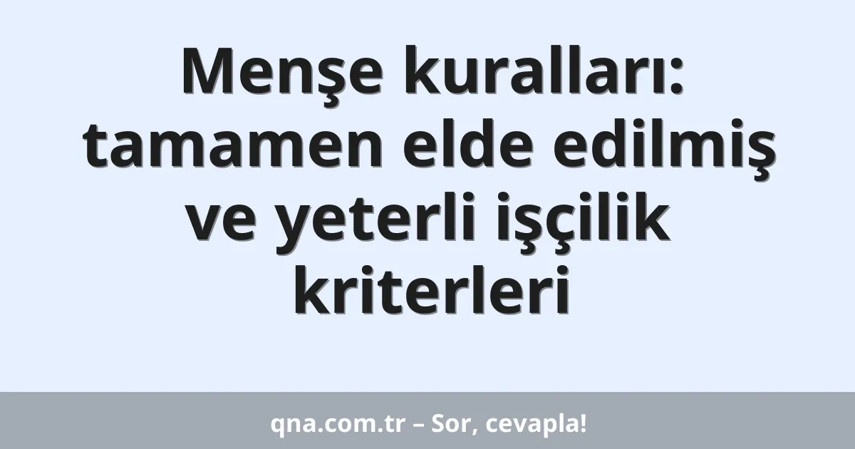 Menşe kuralları: tamamen elde edilmiş ve yeterli işçilik kriterleri