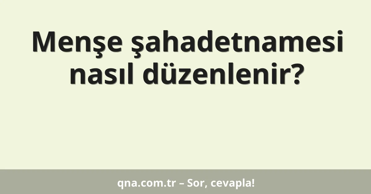 Menşe şahadetnamesi nasıl düzenlenir?