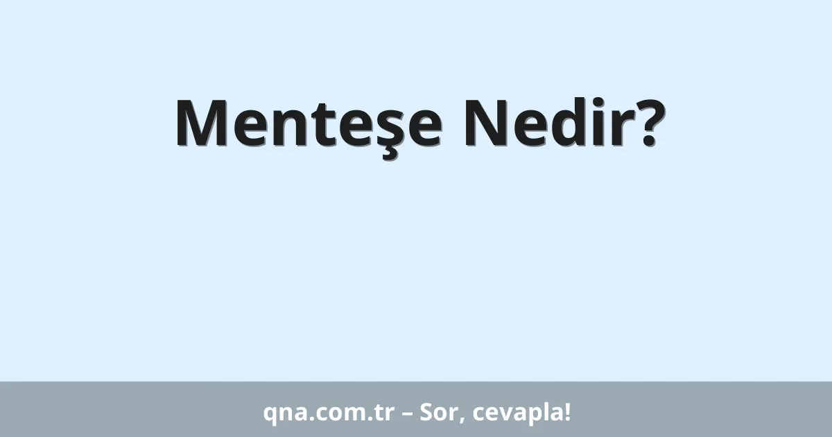Menteşe Nedir?