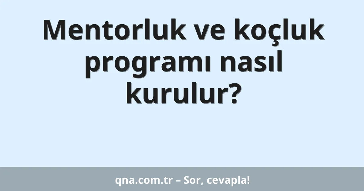 Mentorluk ve koçluk programı nasıl kurulur?