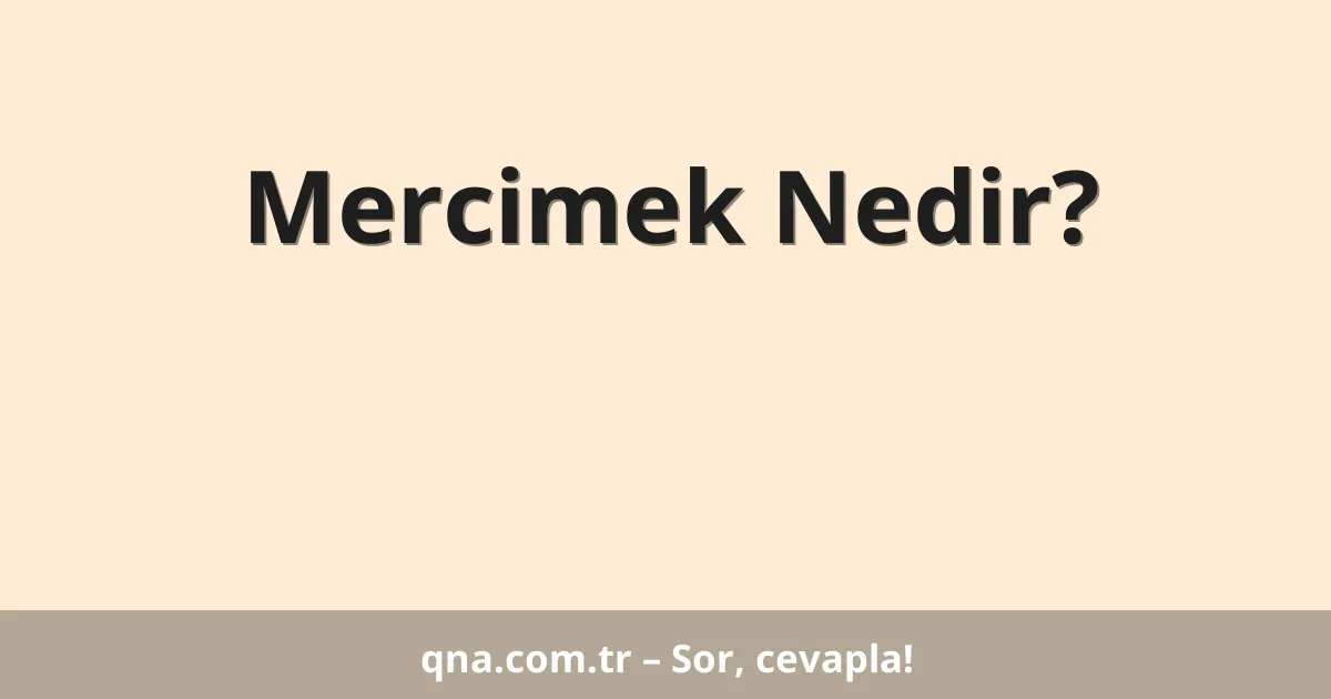 Mercimek Nedir?