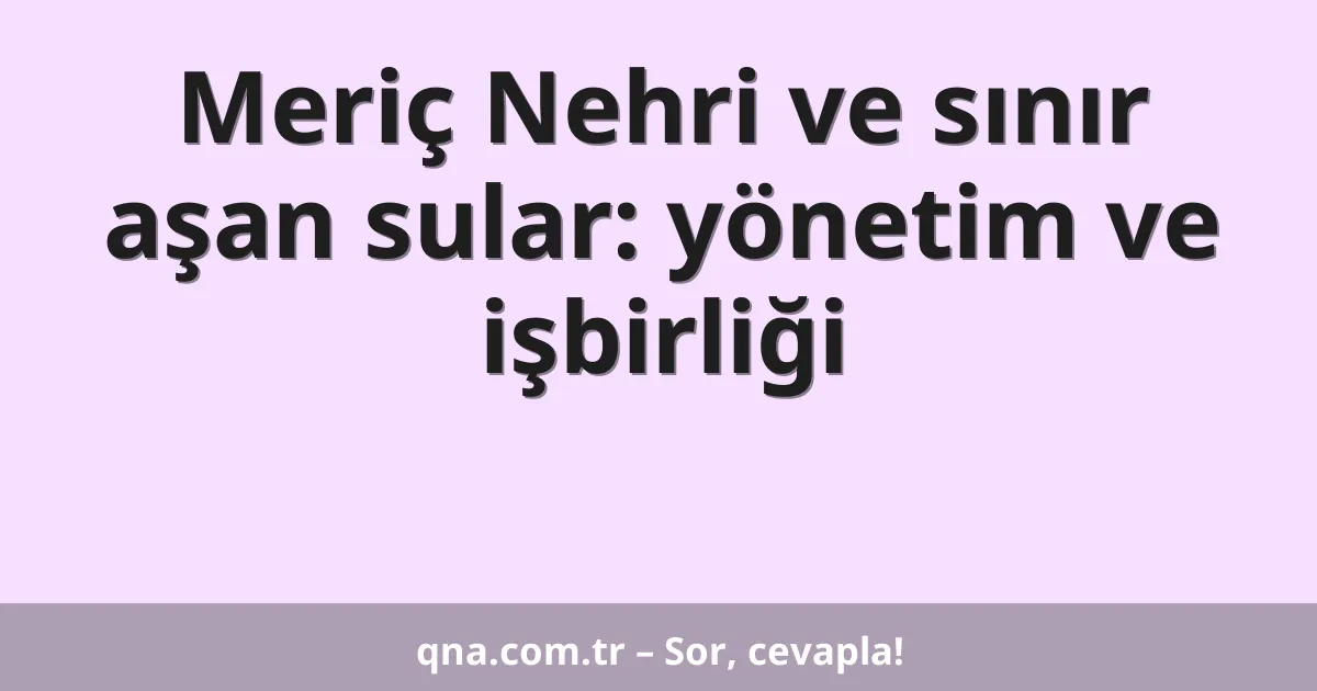 Meriç Nehri ve sınır aşan sular: yönetim ve işbirliği