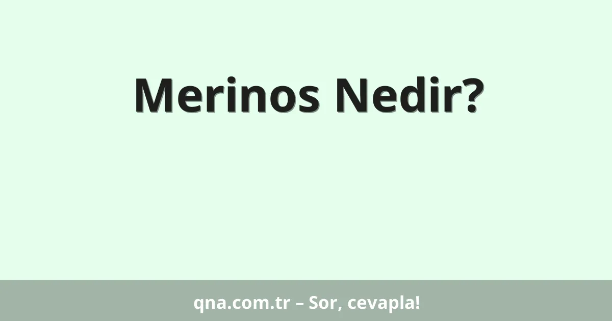 Merinos Nedir?