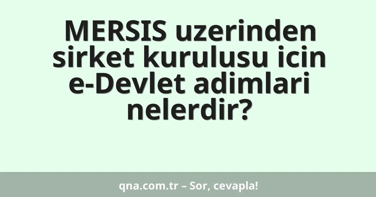 MERSIS uzerinden sirket kurulusu icin e-Devlet adimlari nelerdir?