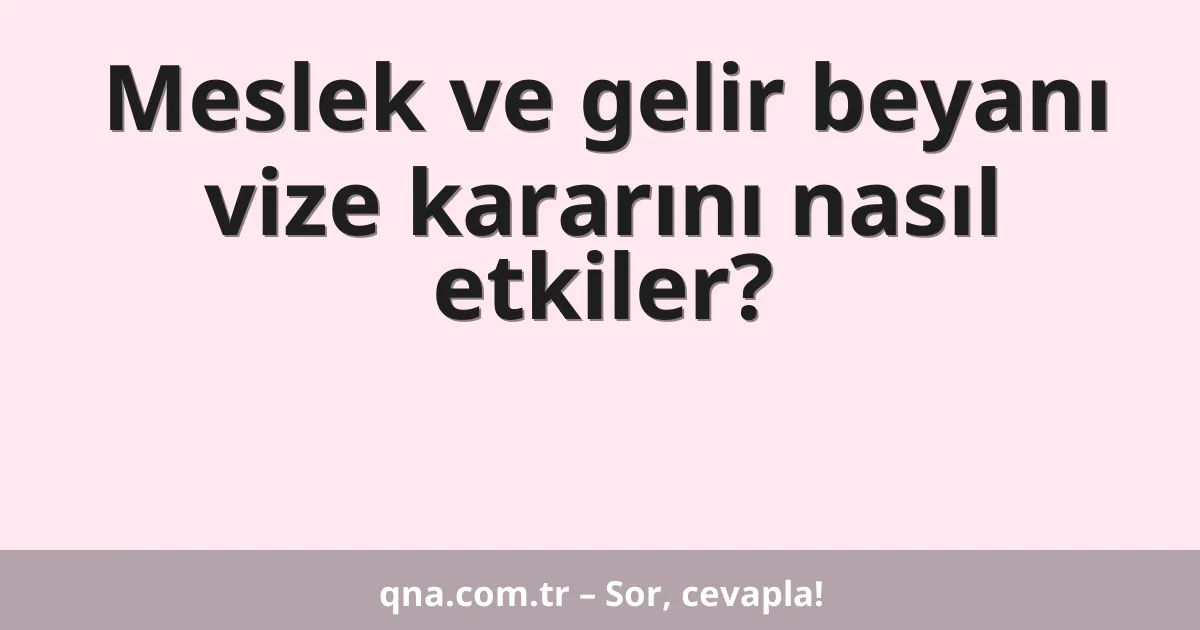 Meslek ve gelir beyanı vize kararını nasıl etkiler?
