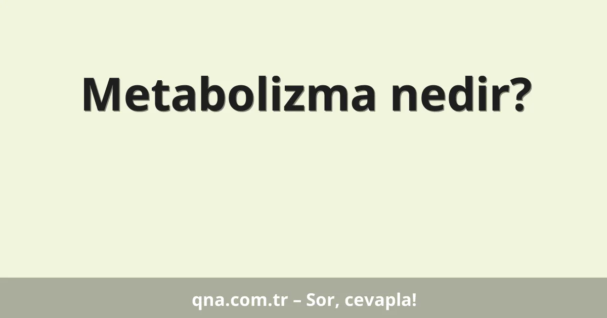 Metabolizma nedir?