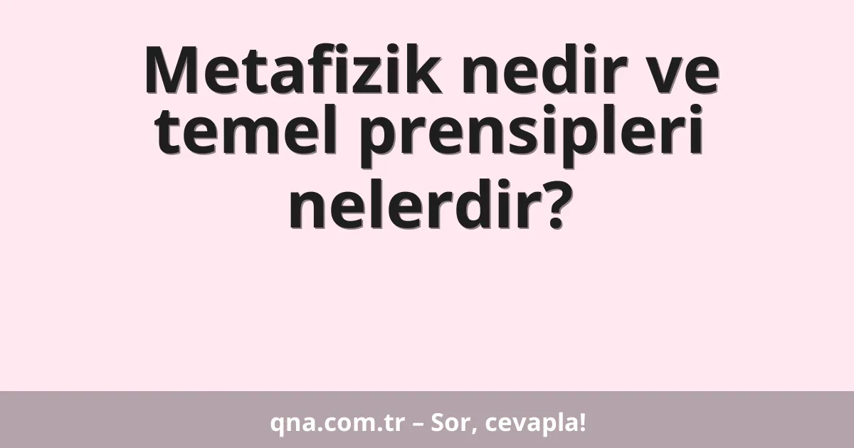 Metafizik nedir ve temel prensipleri nelerdir?