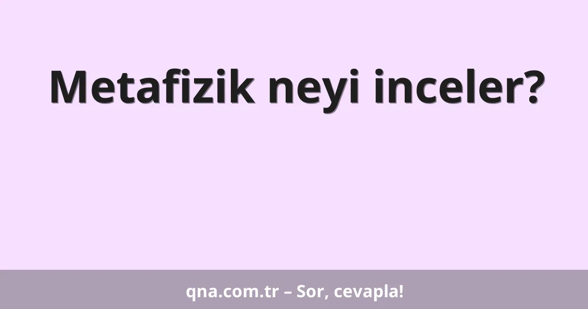 Metafizik neyi inceler?