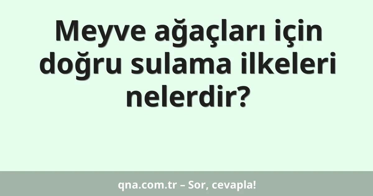 Meyve ağaçları için doğru sulama ilkeleri nelerdir?