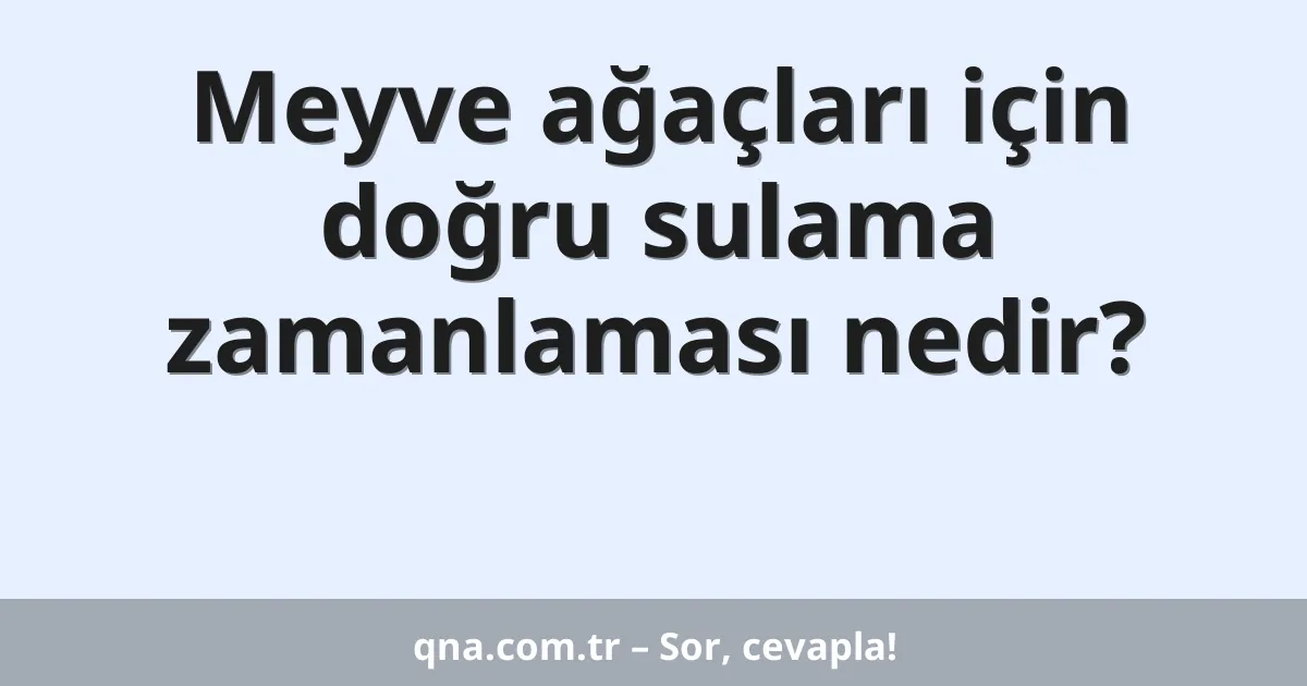 Meyve ağaçları için doğru sulama zamanlaması nedir?