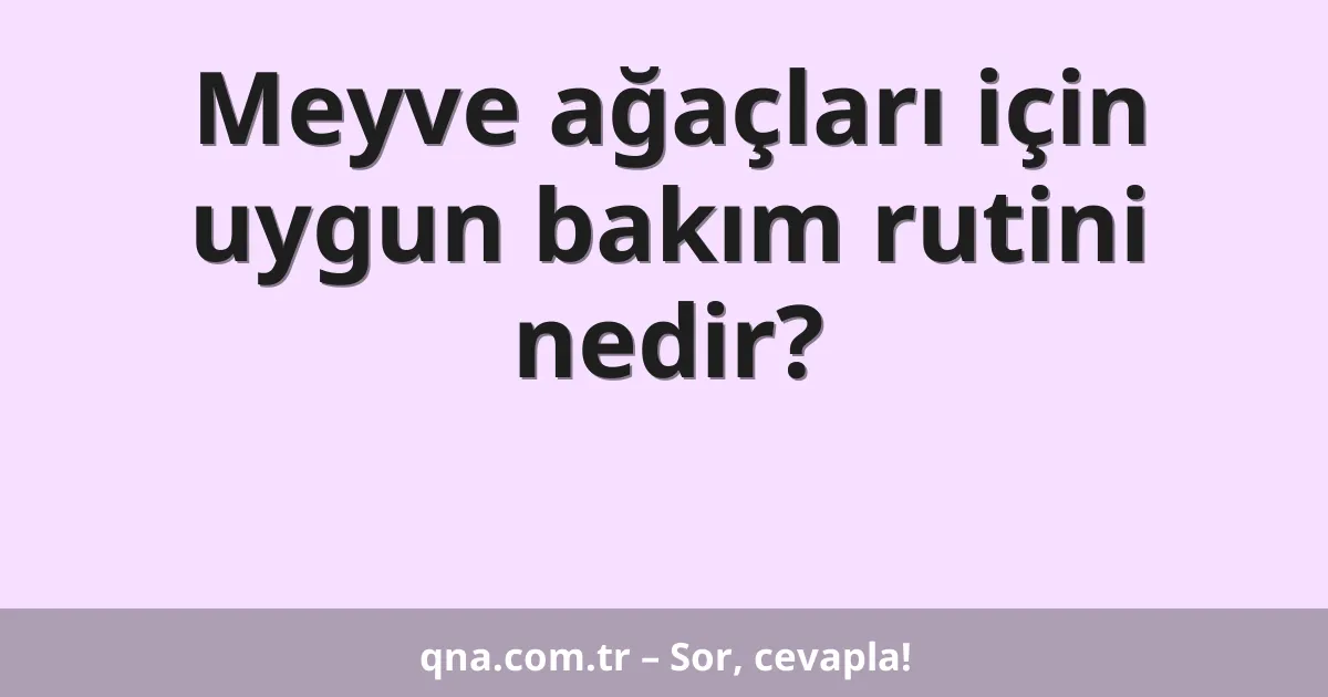 Meyve ağaçları için uygun bakım rutini nedir?