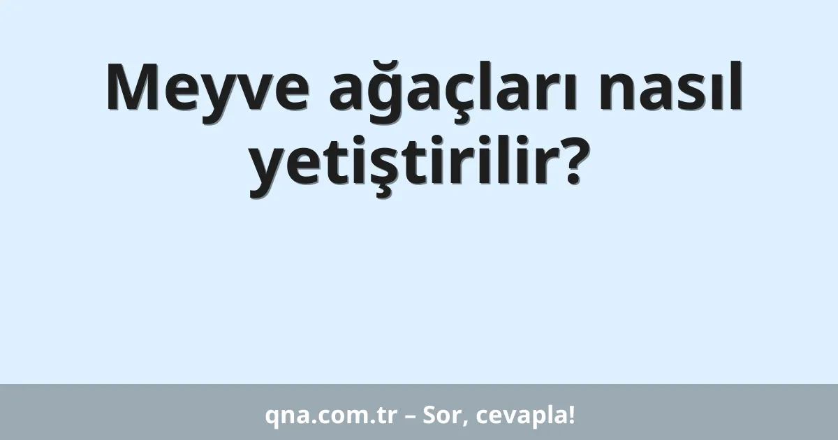 Meyve ağaçları nasıl yetiştirilir?